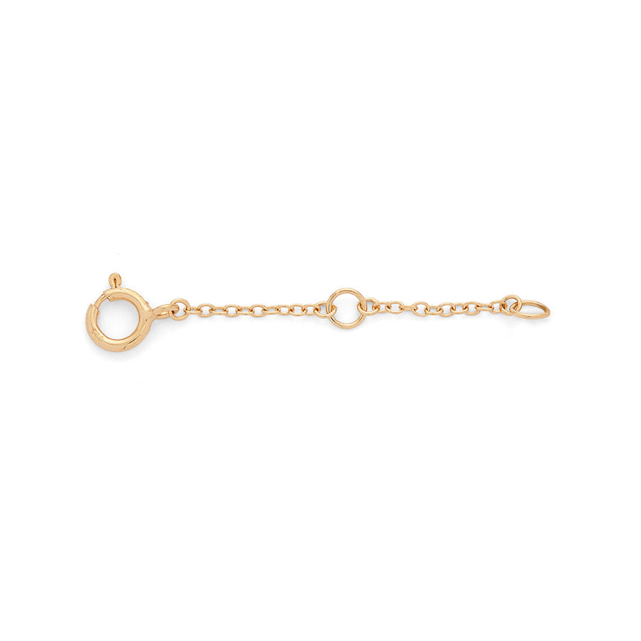 Delicate Chain Extender - Gold